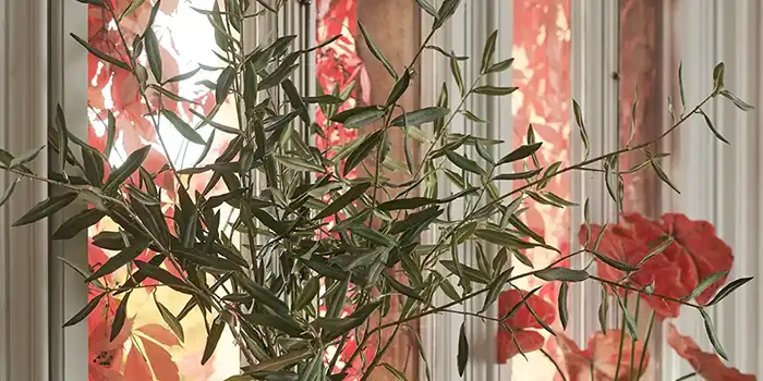 Trees