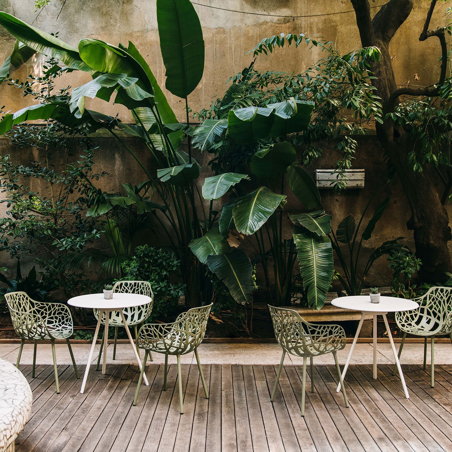 Forest armchair Light Blue