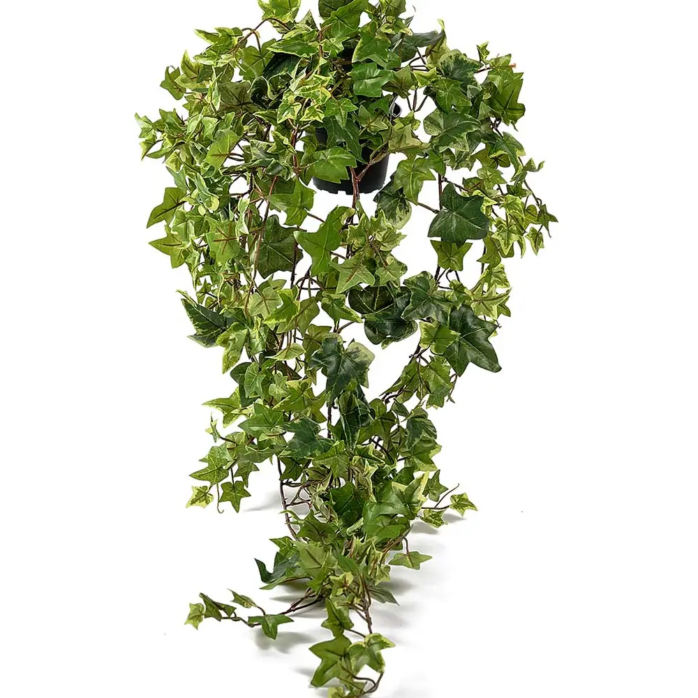 Ivy pot 85 cm