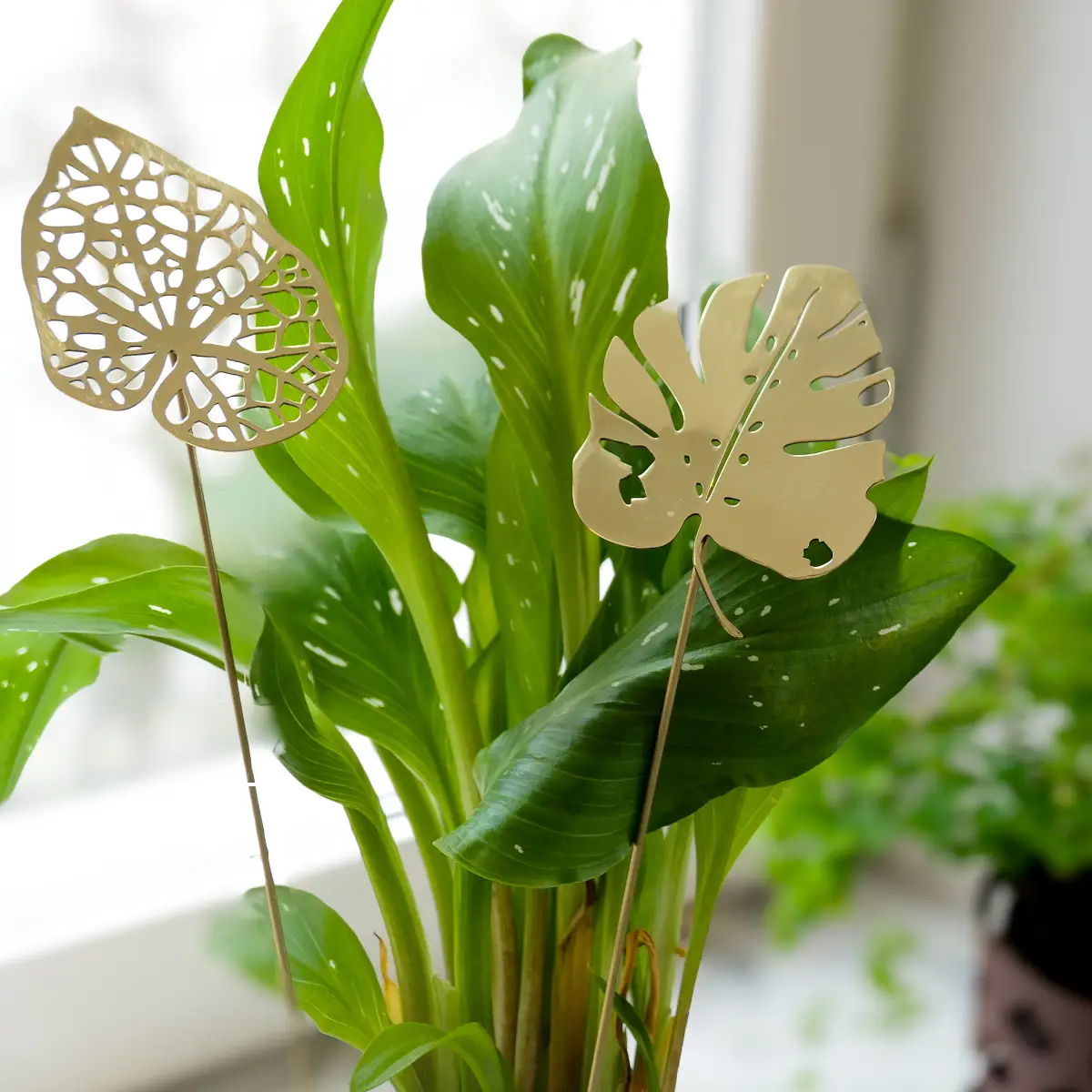 Brass Leaves Water decorative leaves brass
