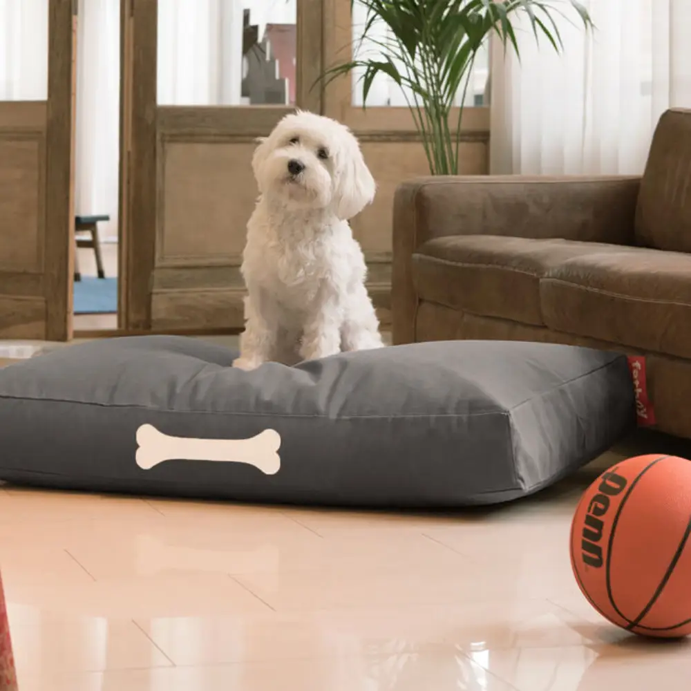 doggielounge L canvas recycled charcoal grey