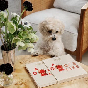 Dog Diary A Dog's Life