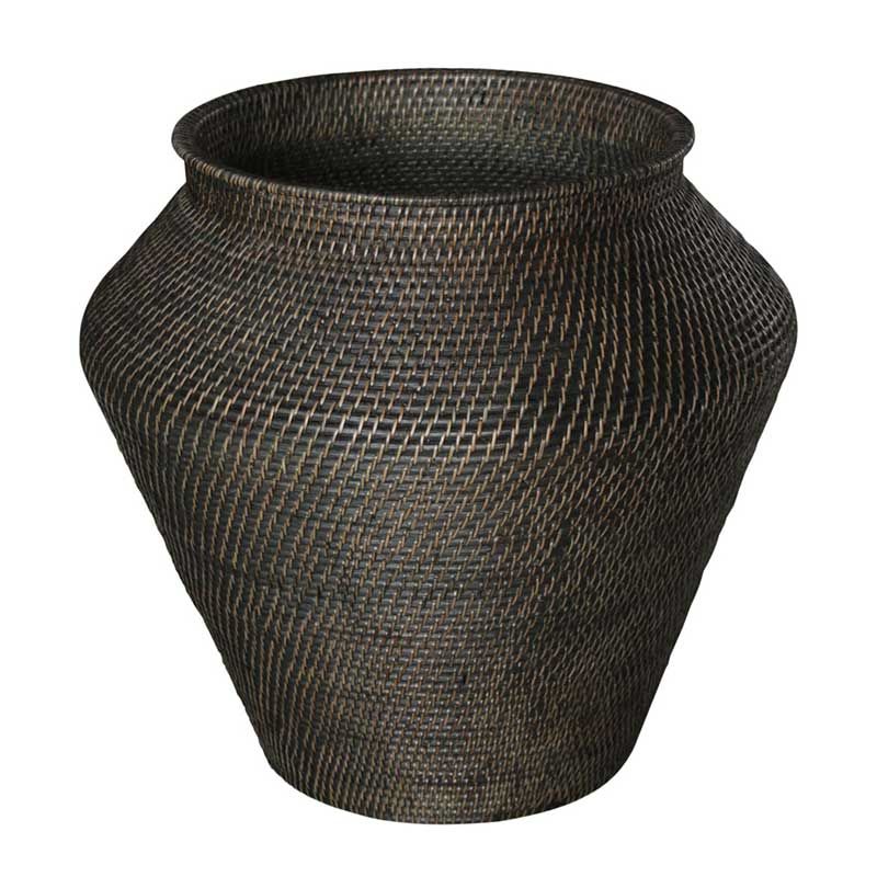 Amazon Snake Korg L Brown