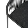 Delta chair    Anthracite / Slate Rope / Teddy Black