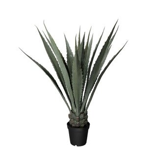 Agave green 120 cm