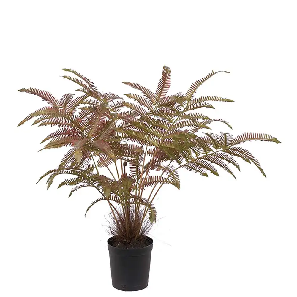 Fern 70 cm