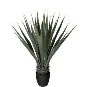 Agave green 100 cm