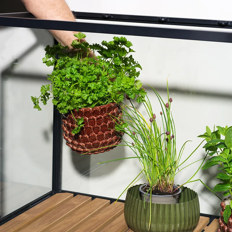 Grower Greens plant cabinet S black 