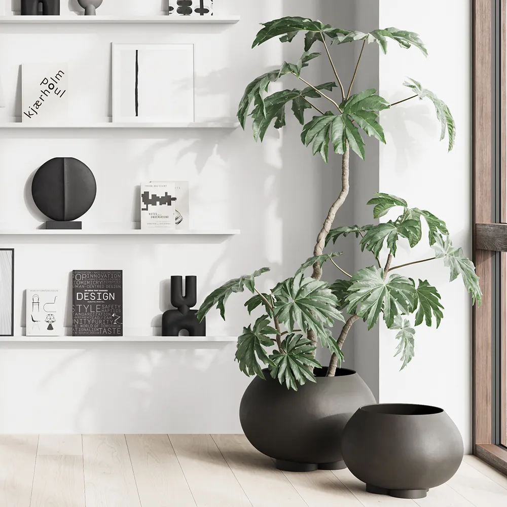 Urchin pot Medio - Coffee