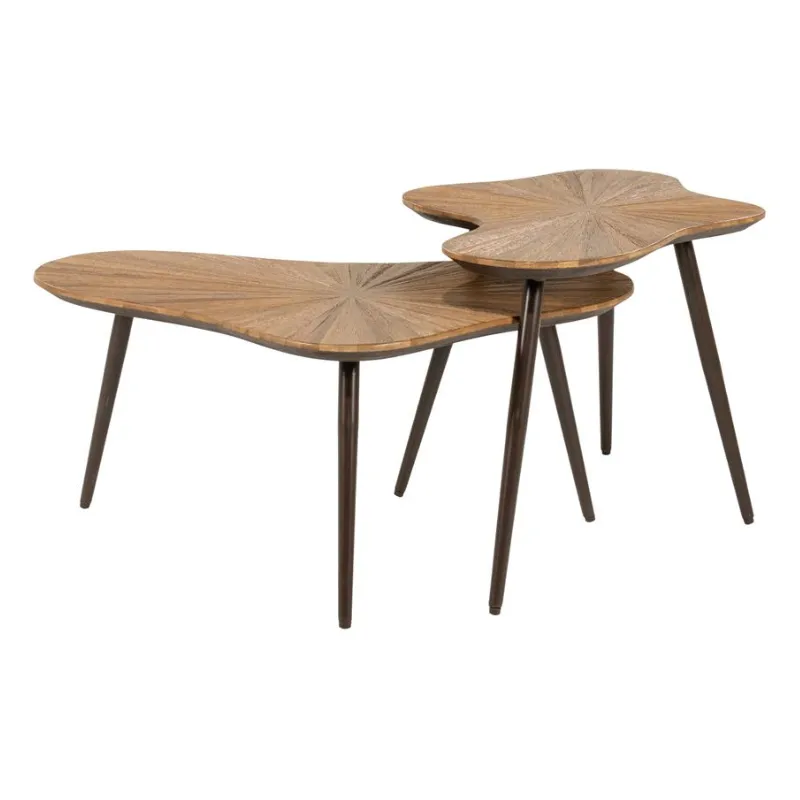Loma ( set of 2) 78x57x35 cm / 76x49x43 cm teak natural
