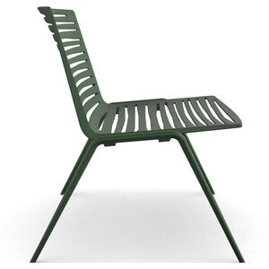 Zebra armchair Dark Green
