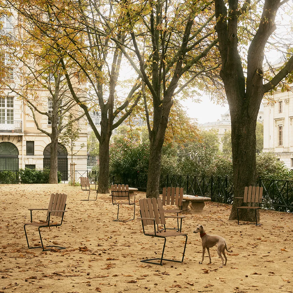A2 Armchair Untreated Teak/Black frame