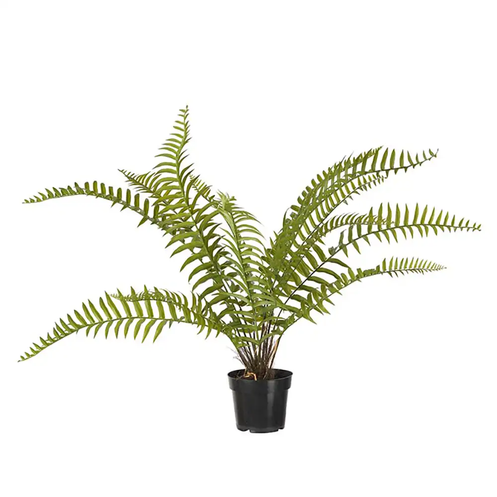 Fern 90 cm Green