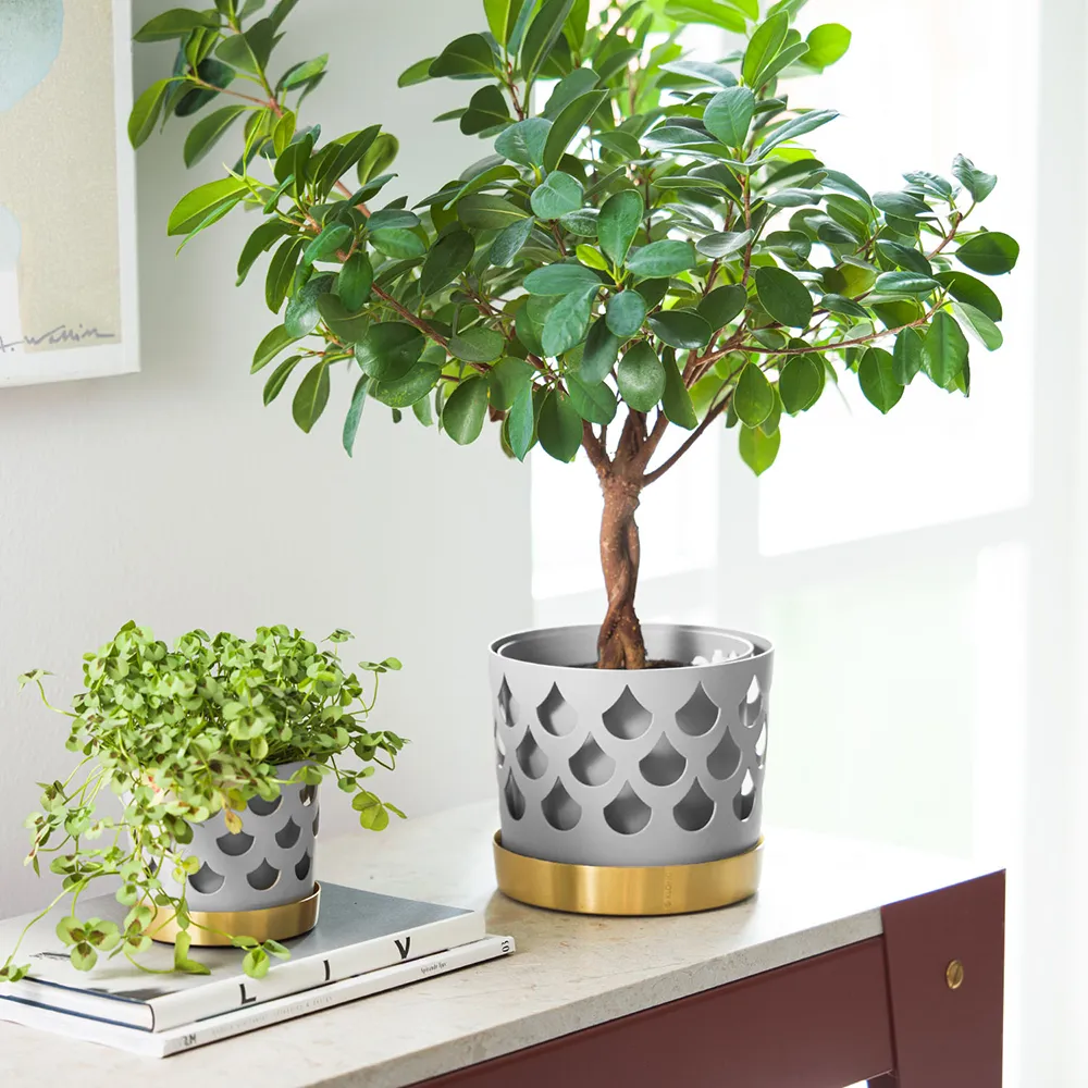 Trio Drop Medium Tray in Grey Brass