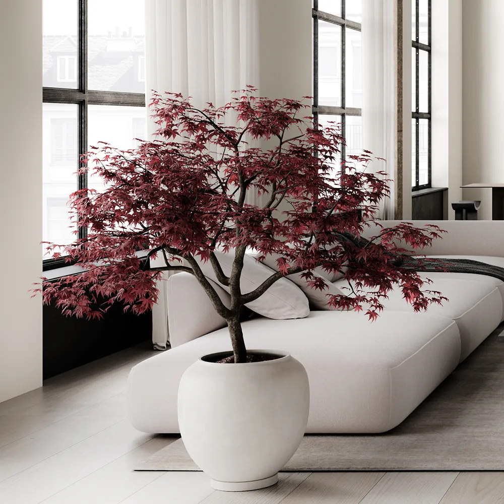 Sunao pot Hexa - Birch