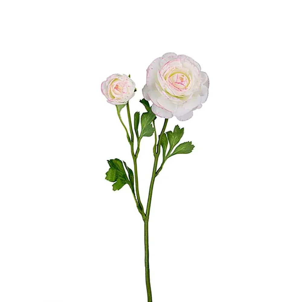 Ranunculus Cut Flower 45 cm Multicoloured