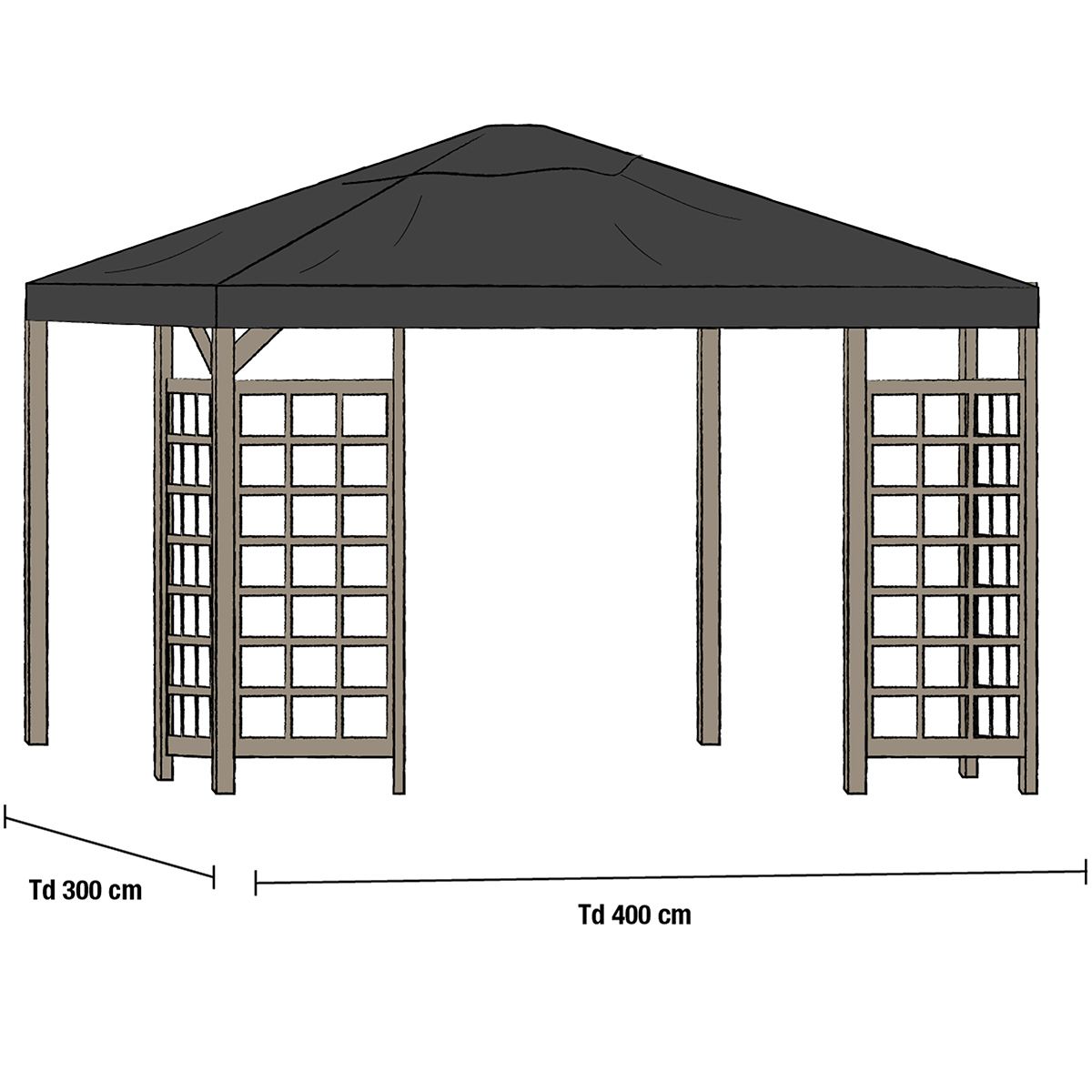 Roof pavilion 300x400 cm black