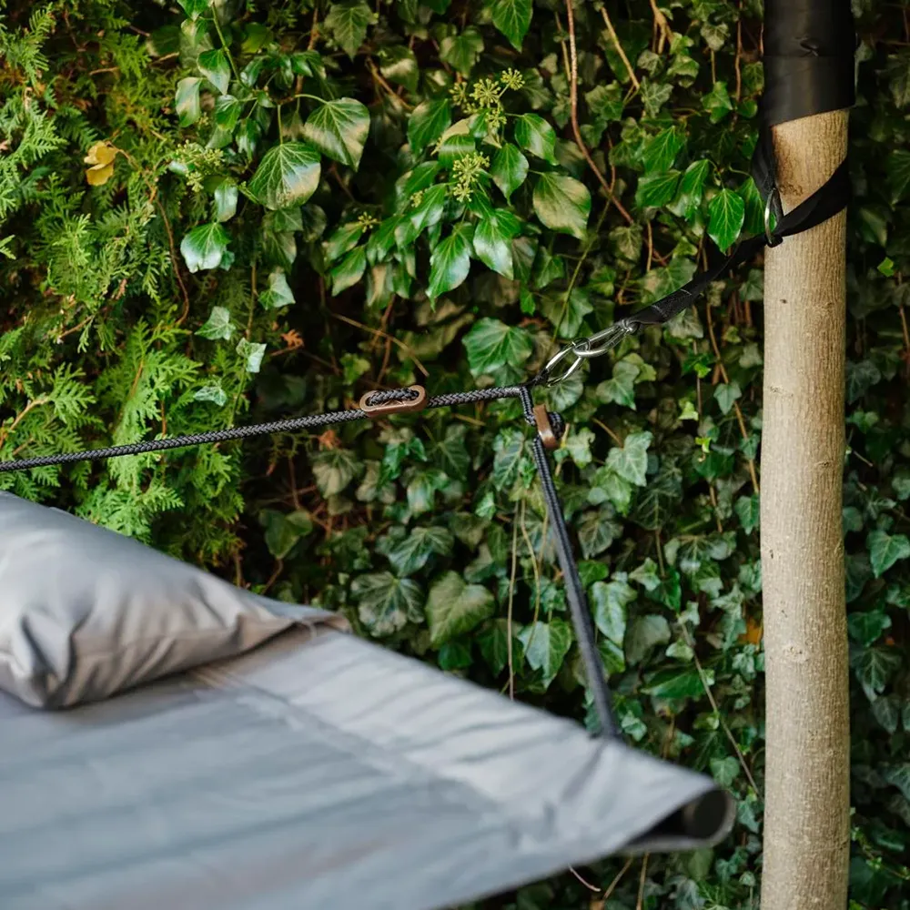 Suspension set hibernation and enif