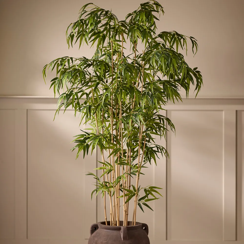 Bamboo 120 cm