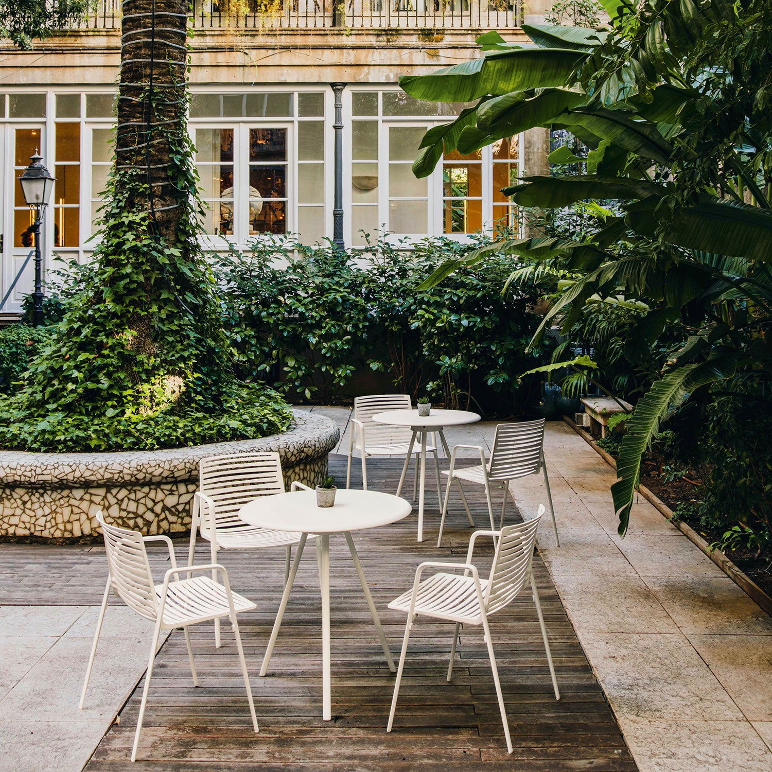 Zebra armchair Green Tea