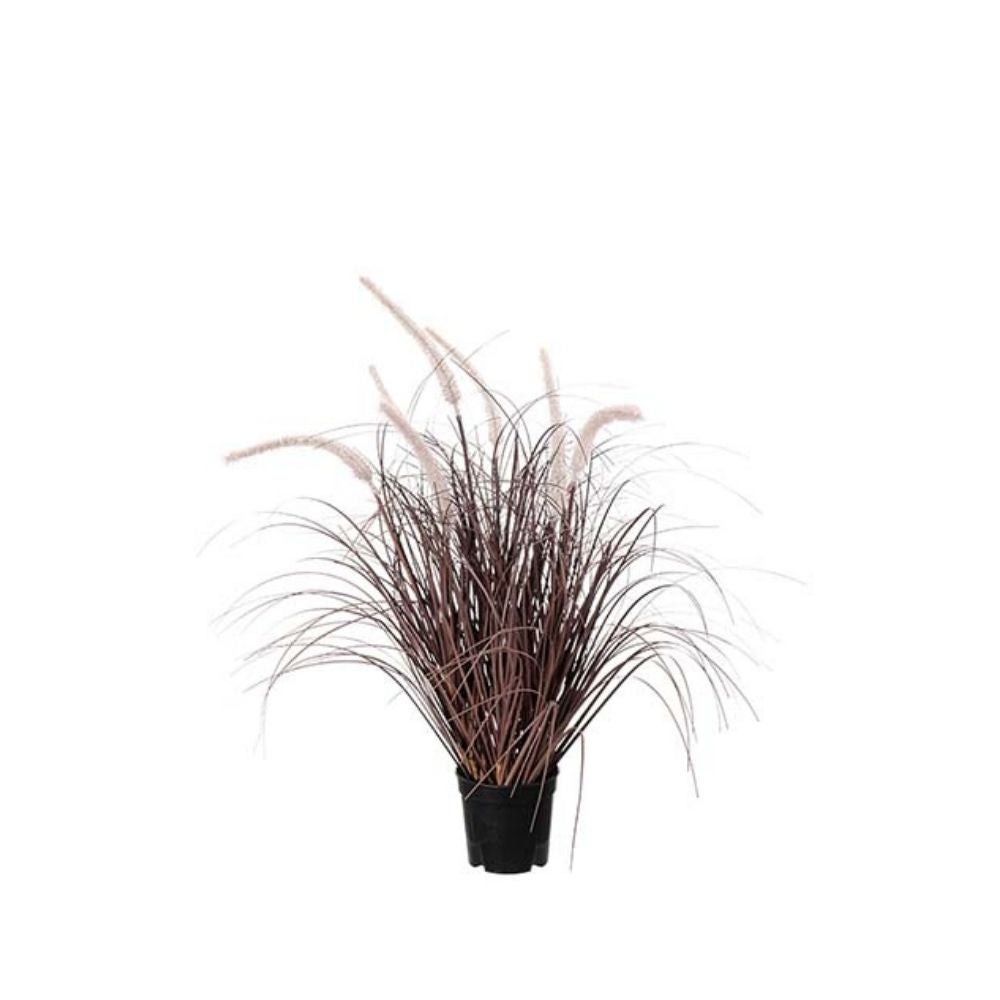 Grass Burgundy 60 cm