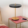 Asteria table Lamp Ø31 cm Anthrachite Grey