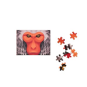 Puzzle - Japanese Macaque 