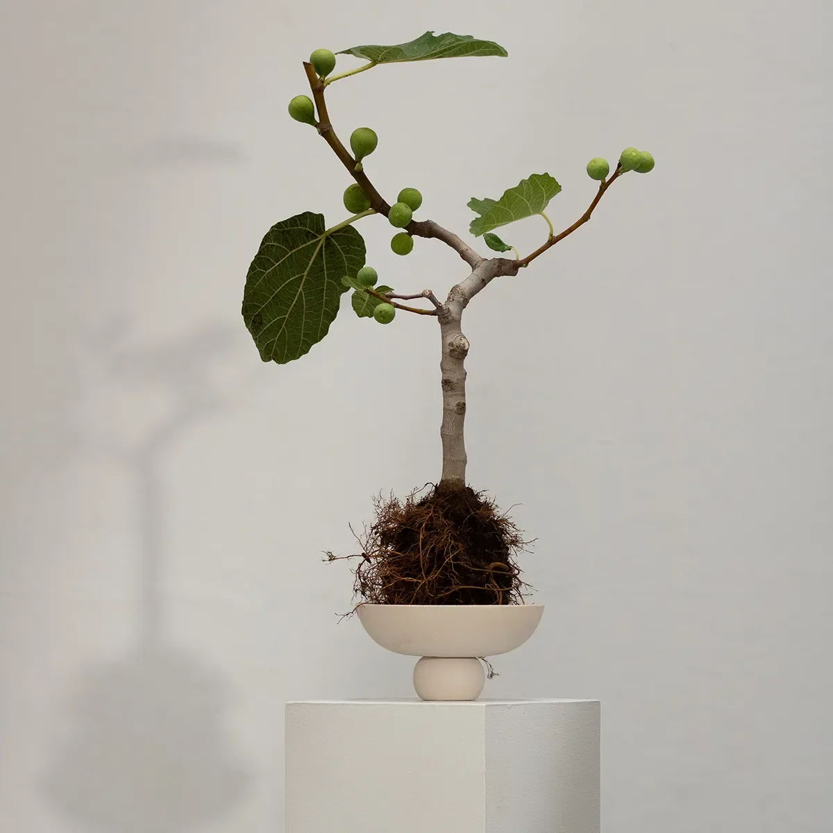Hand-painted Decorative Bowl Baburu Mini Birch Ø 20 cm