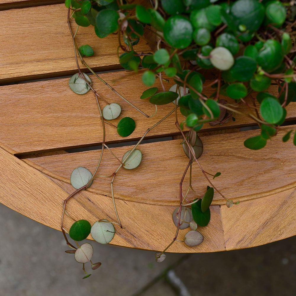 Lounge coffee table 80 cm teak 