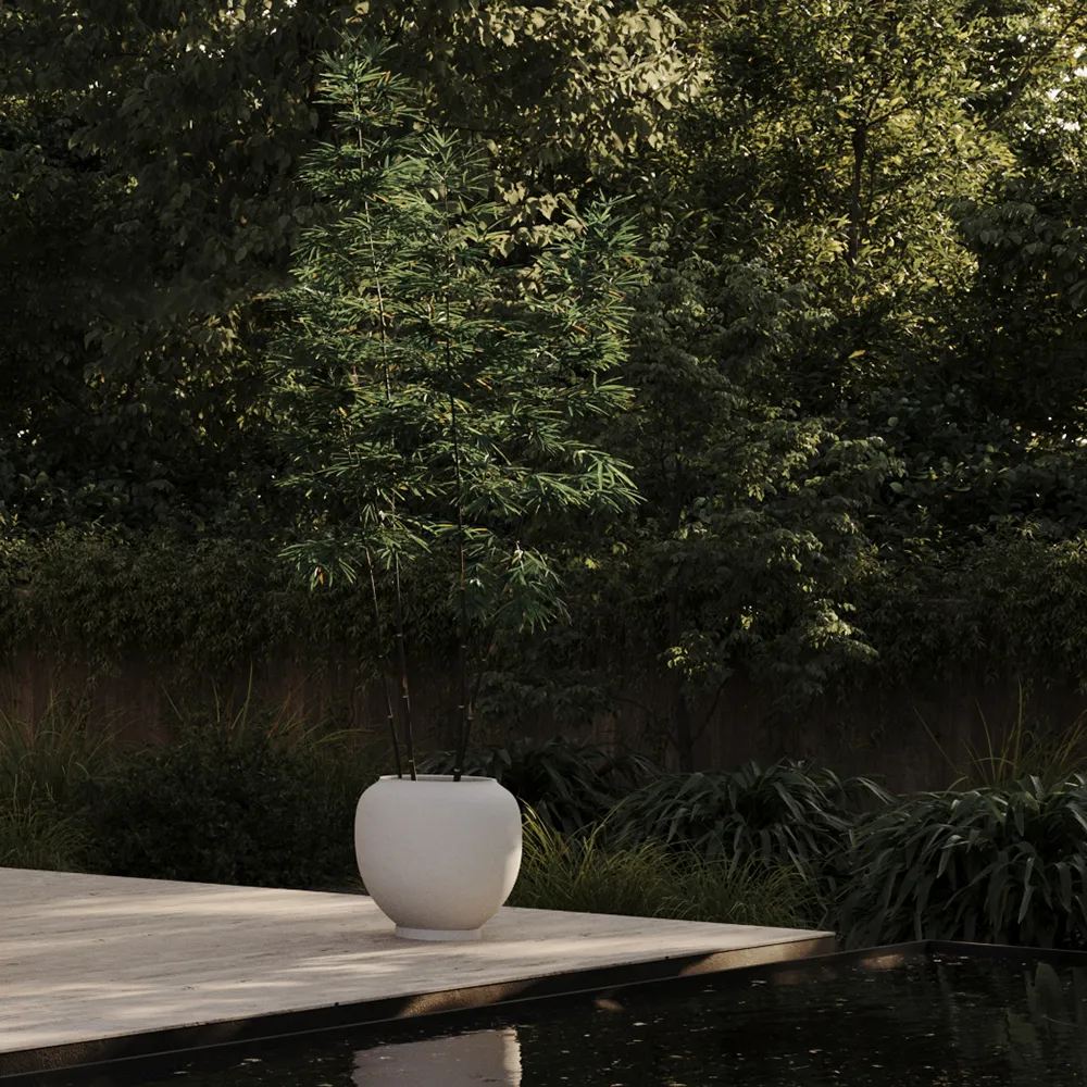 Sunao pot Hexa - Birch