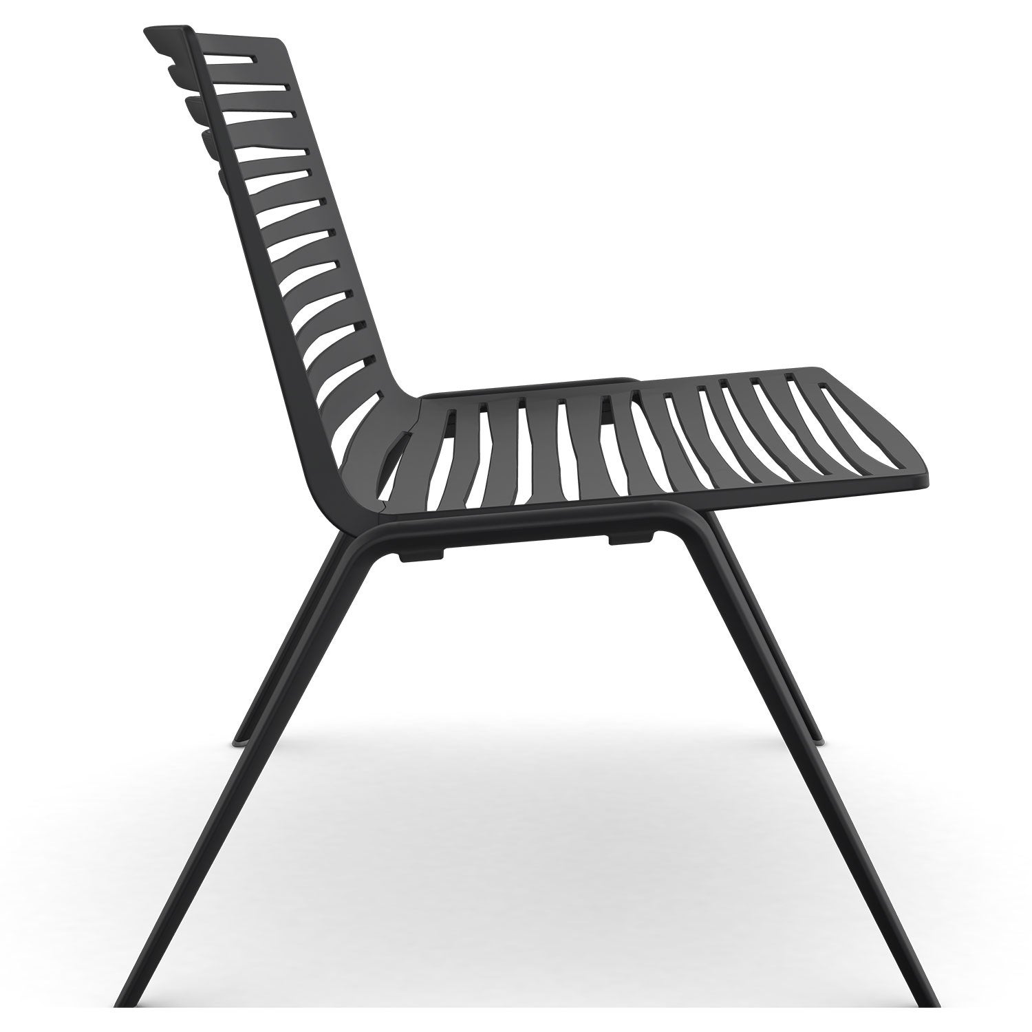 Zebra armchair Black