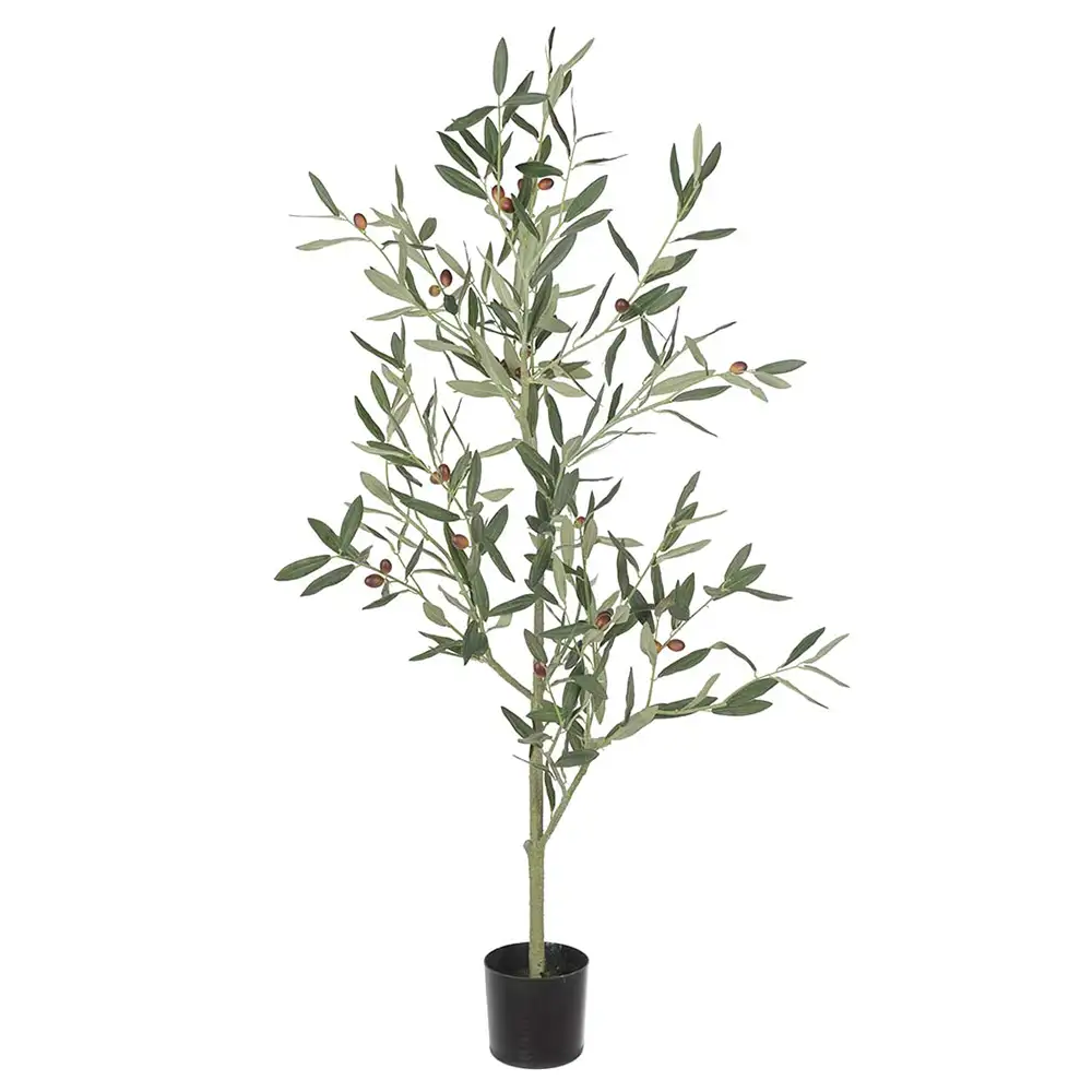 Olive tree 120 cm Green