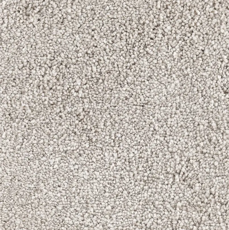 Carpet Pelham natural 2x3 m