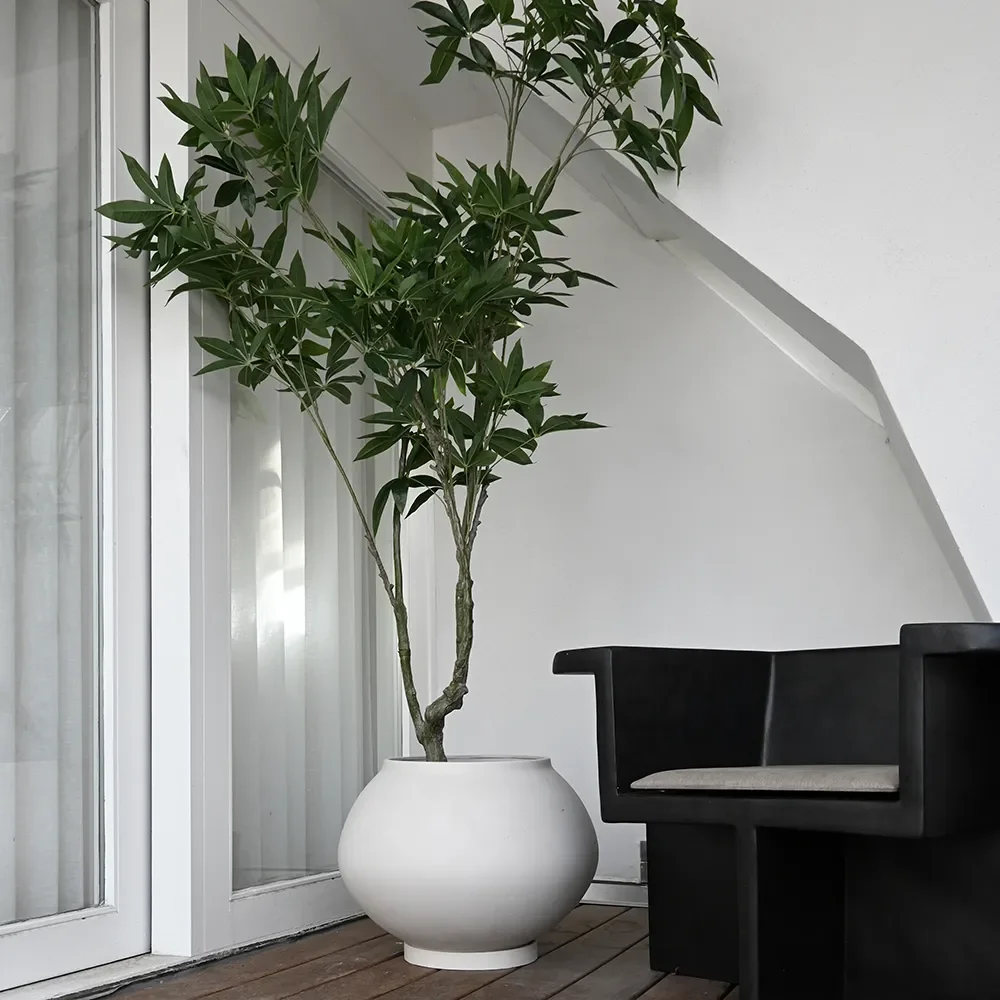 Sunao pot Fat Hexa - Birch