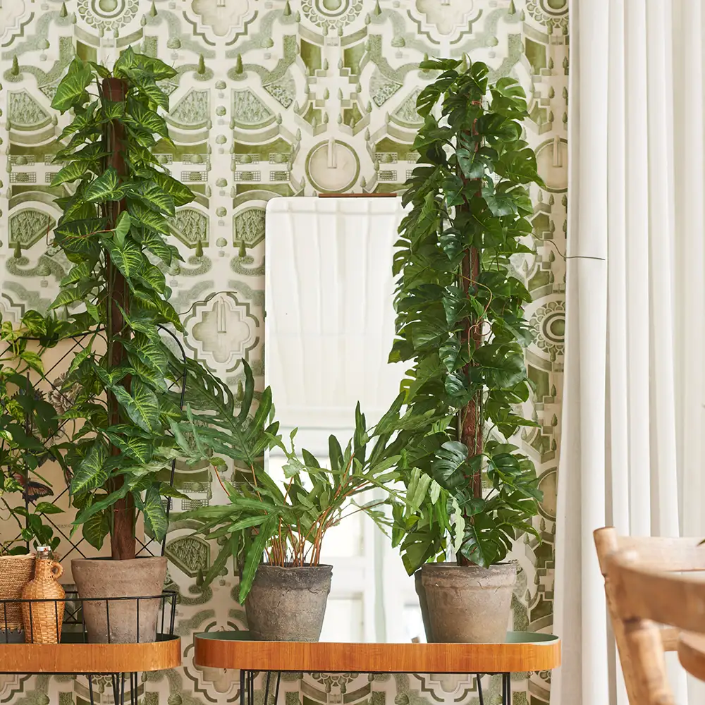 Monstera 120 cm Green