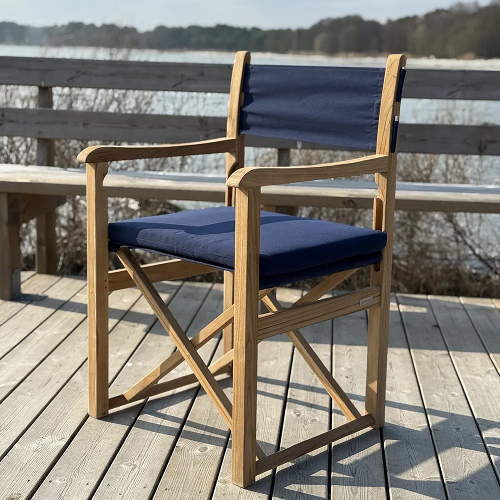 Haväng director's chair black