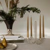 Candelabra Sway Cashmere
