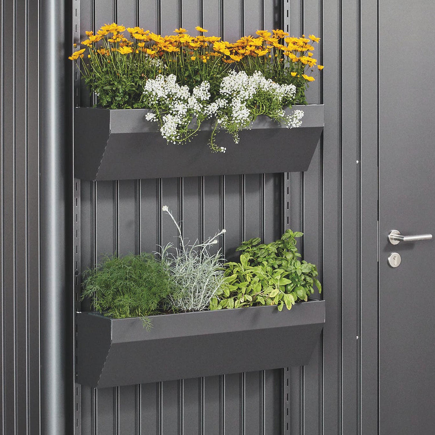 Floraboard Garden shed avant-garde/highline/panorama dark grey Biohort