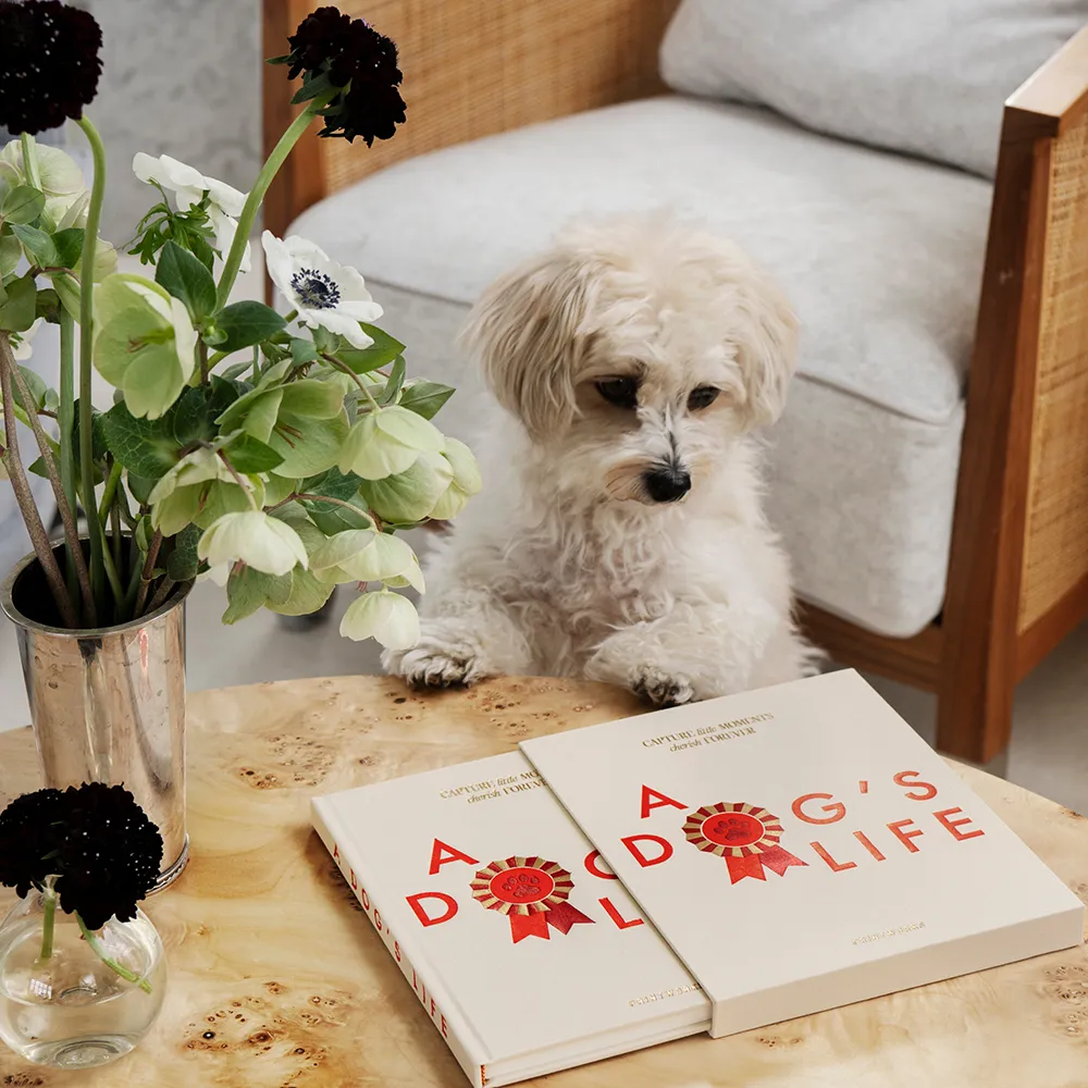 Dog Diary A Dog's Life