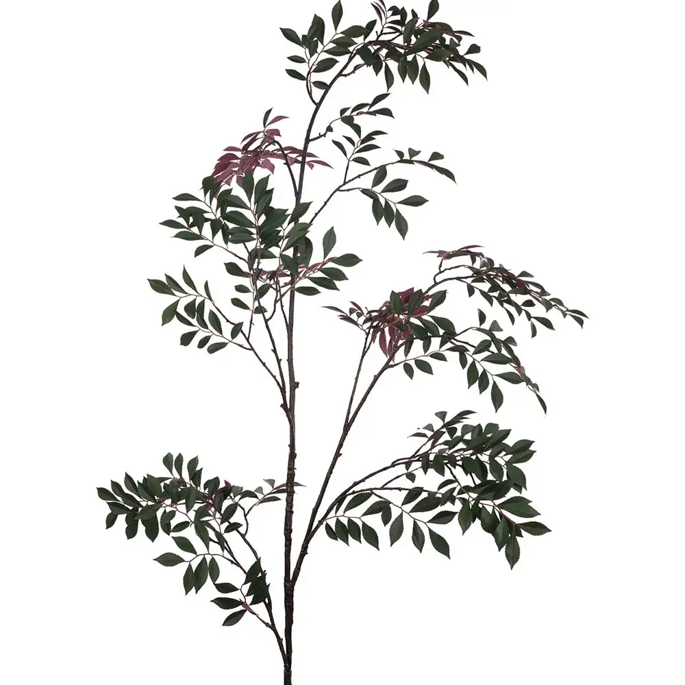  Japanese rowan twig 230 cm