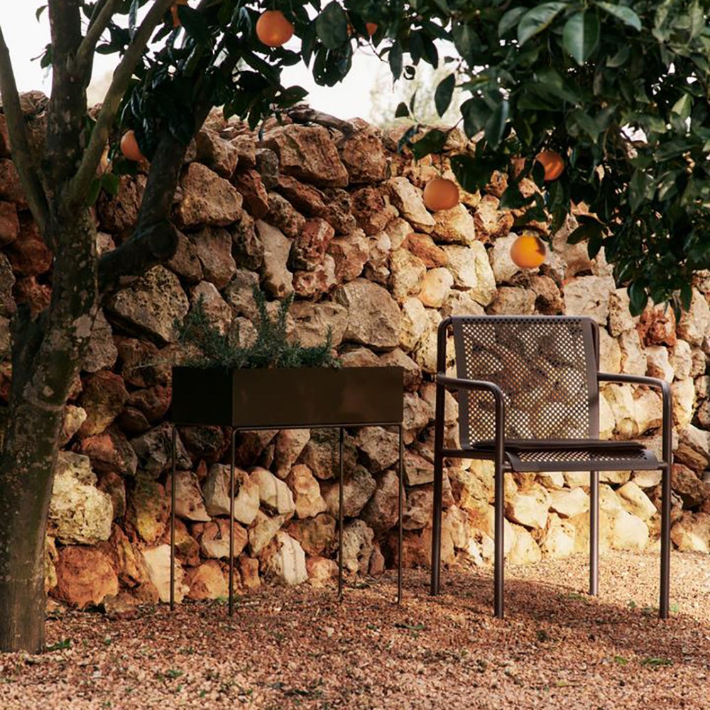 Plant Box - Dark Chocolate