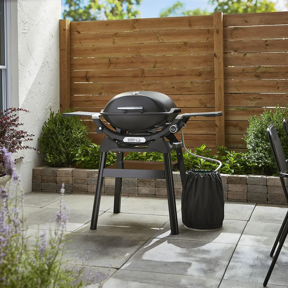 Q2200N Gas grill with rack