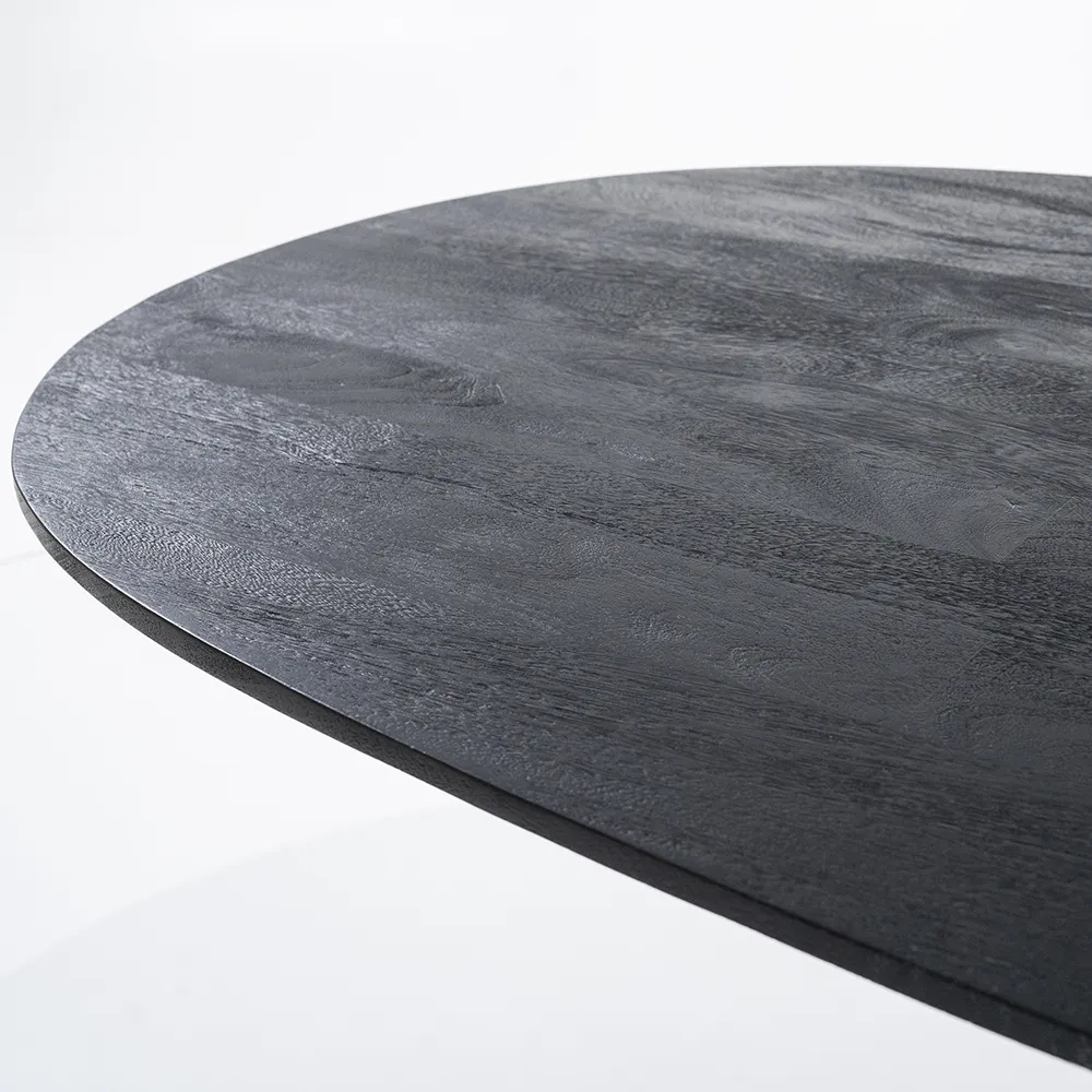 Aron Dining table 300x110 - black