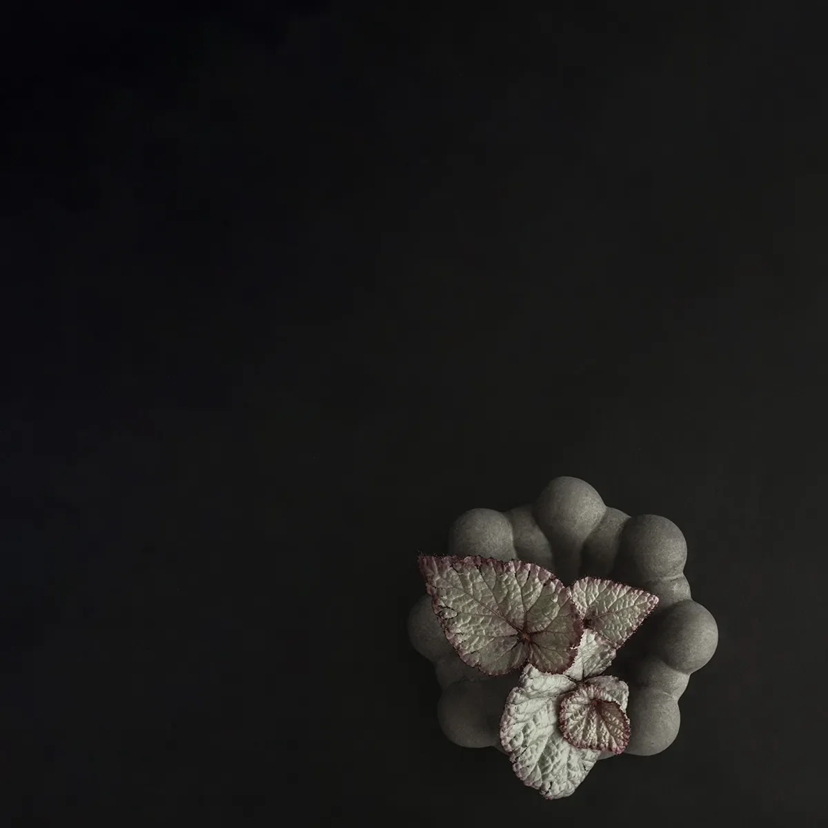 Handmade Decorative Bowl Bloom Dark Grey Ø 15,5 cm