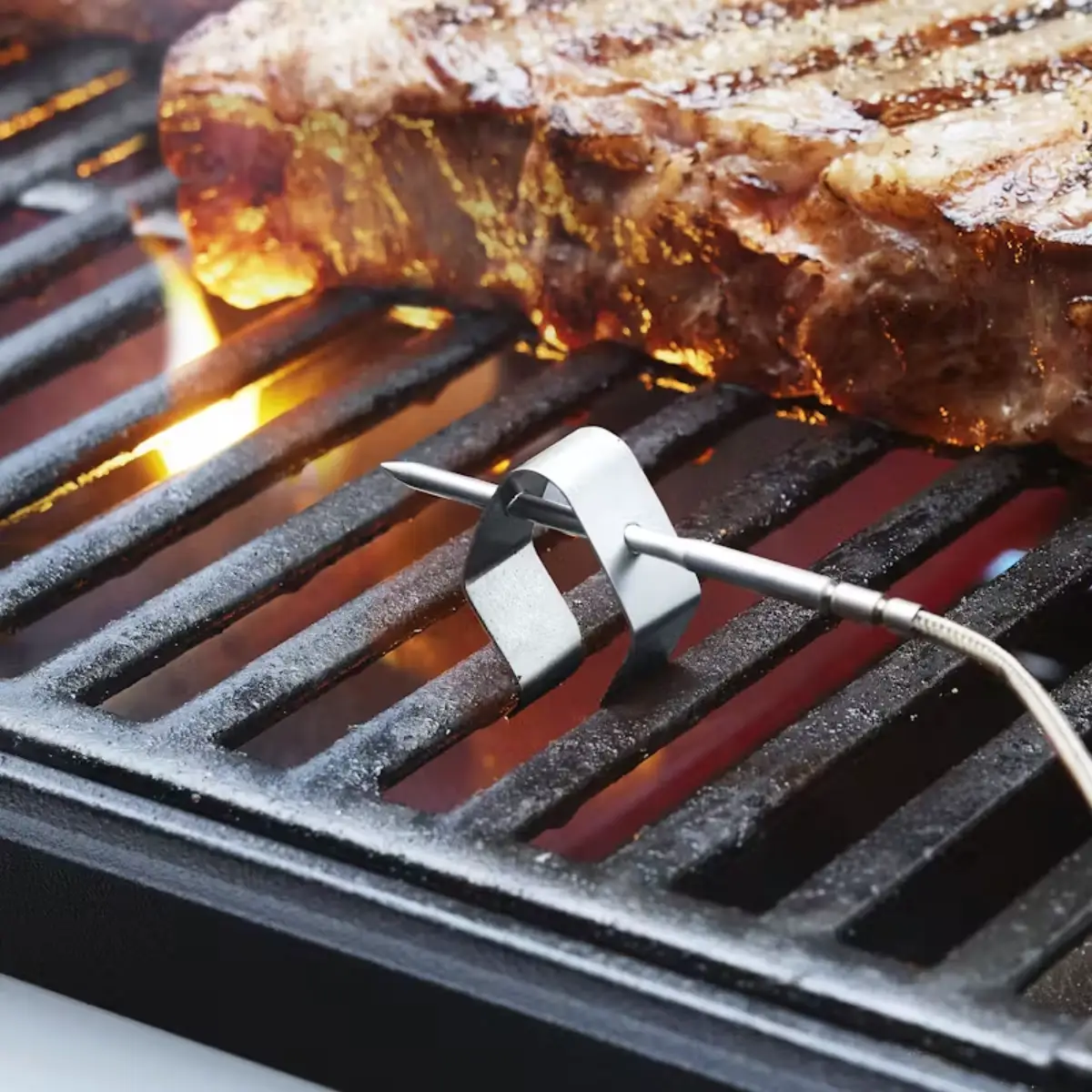 Smart Thermometer with cord