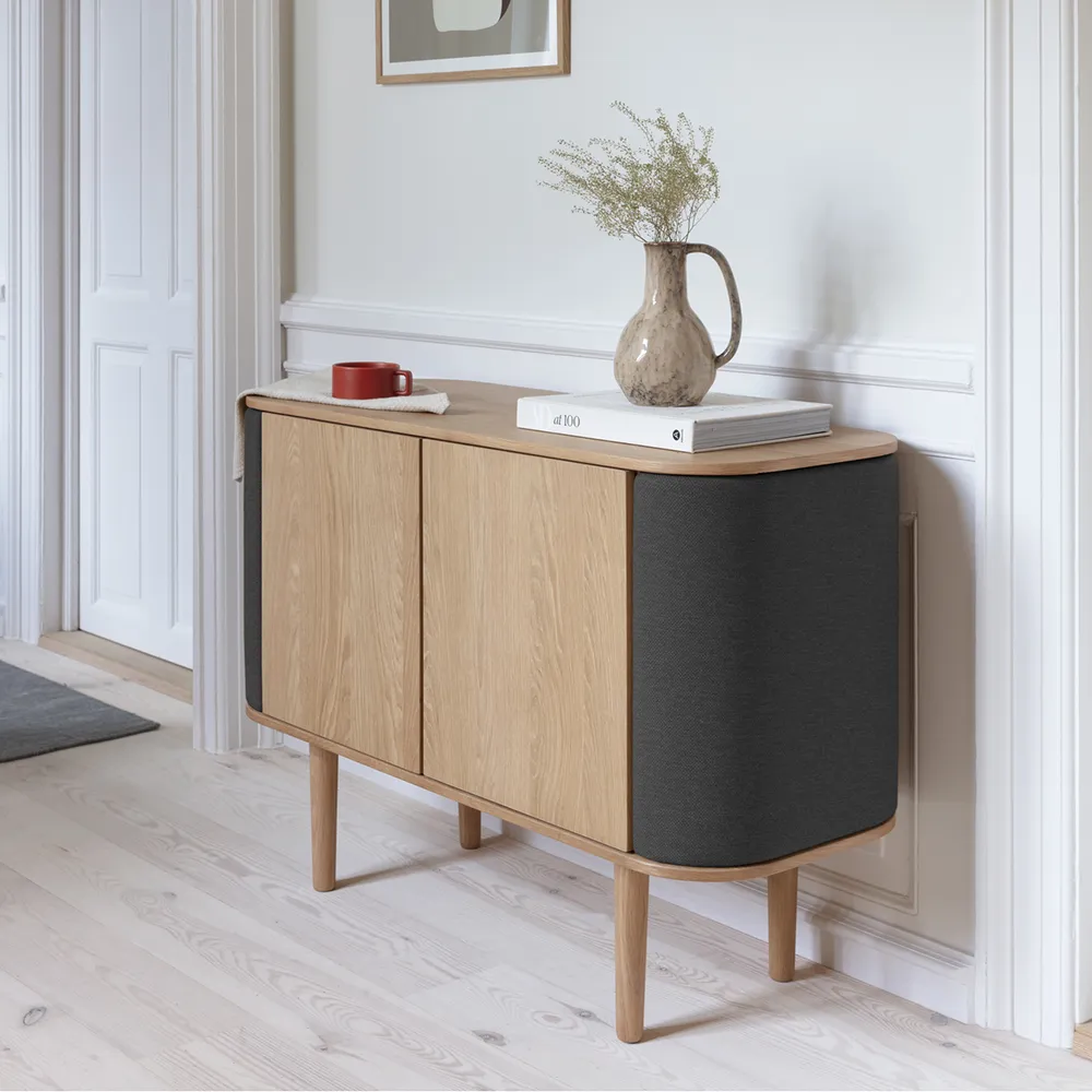  Treasures 2-door cabinet Oak/shadow