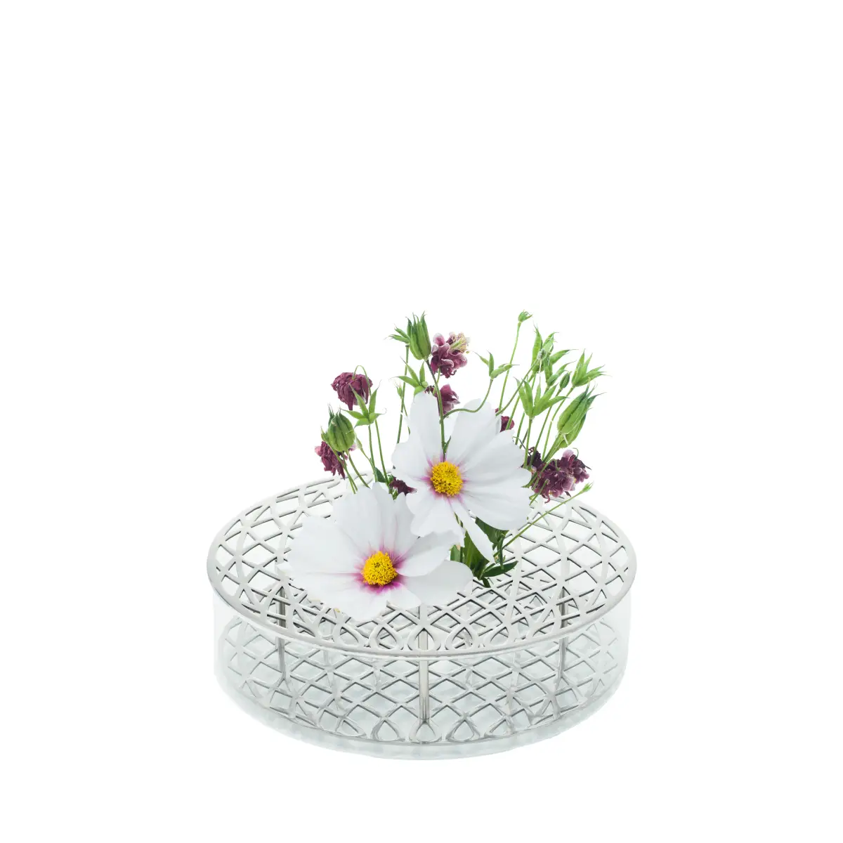 Äng Optimum Steel Ø21,9xH6,2 cm Brass, Glass Klong