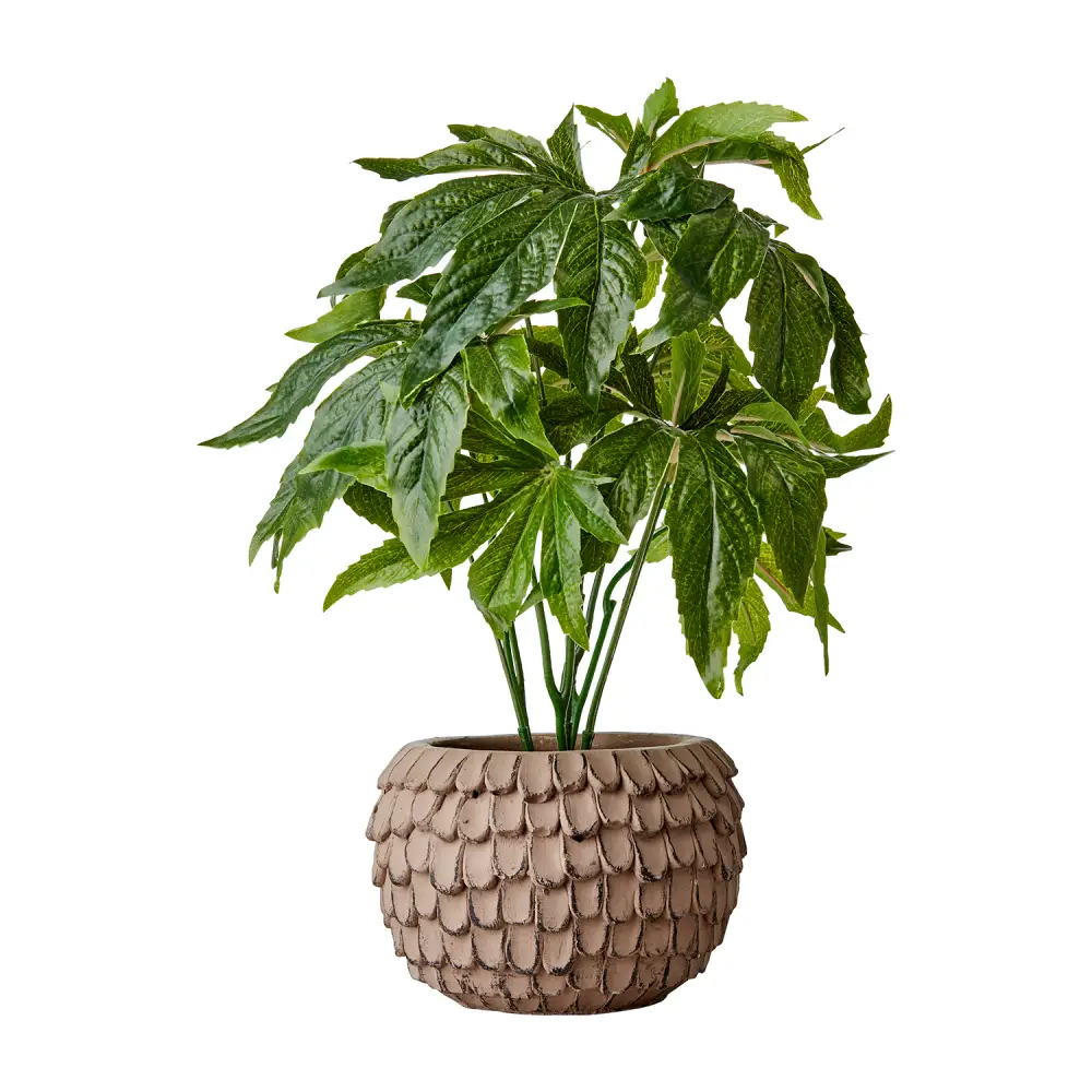 FUDGE Pot XS Nougat brown