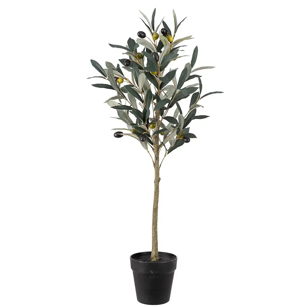 Olive Potted plant 75 cm
