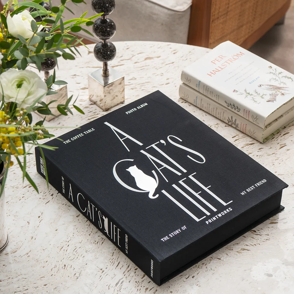 Cat Album - A Cat's Life